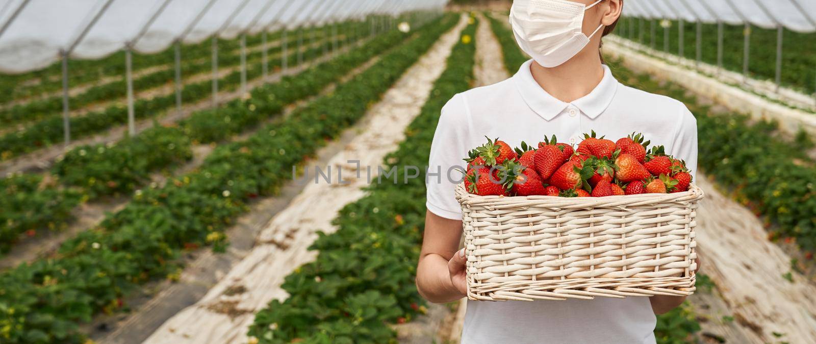 Close up of female field worker holding wicker basket with fresh ripe strawberries. Young caucasian woman wearing medical protective mask. Concept of pandemic and harvesting. 