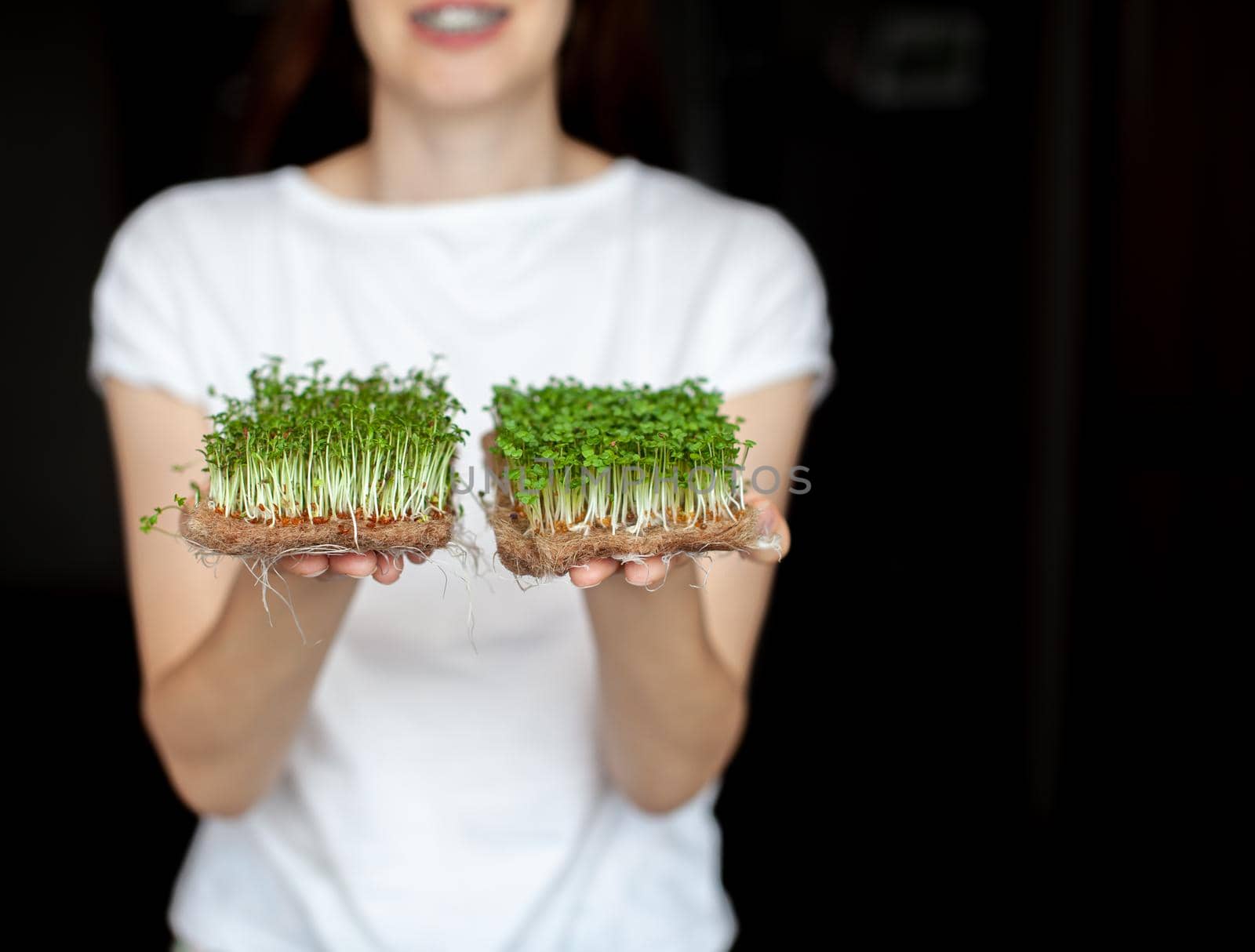 A woman holds micro greens grown at home in her hands. Healthy and healthy food. Vegetarian food. Micro-greens for salads and meals