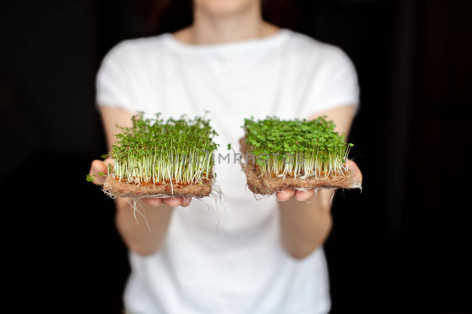 A woman holds micro greens grown at home in her hands. Micro-greens by AnatoliiFoto