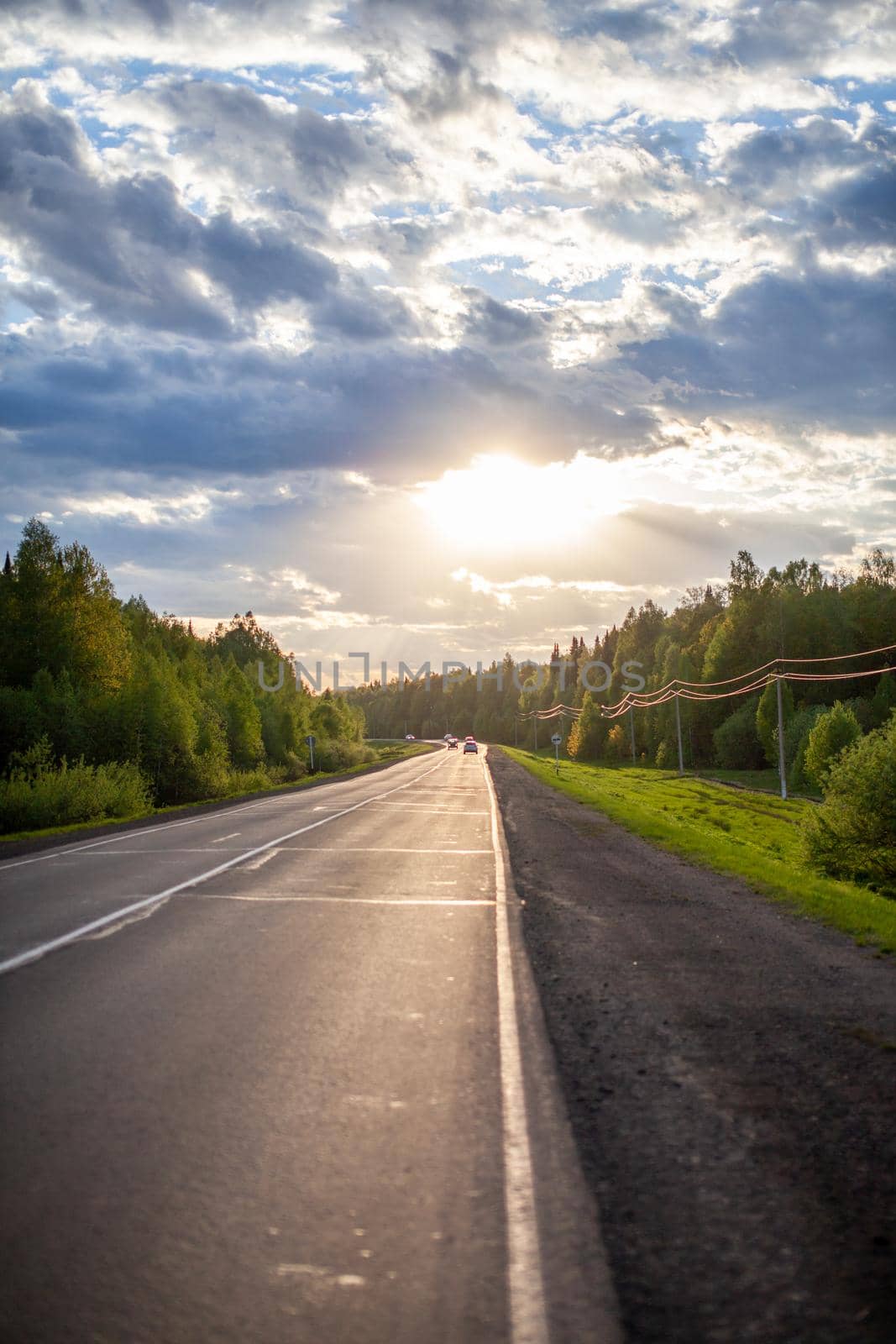 Country road with markings in the middle of the forest. Path and forward movement in the sun. Beautiful, green forest in the spring at sunset. Concept for success in the future goal and passing time