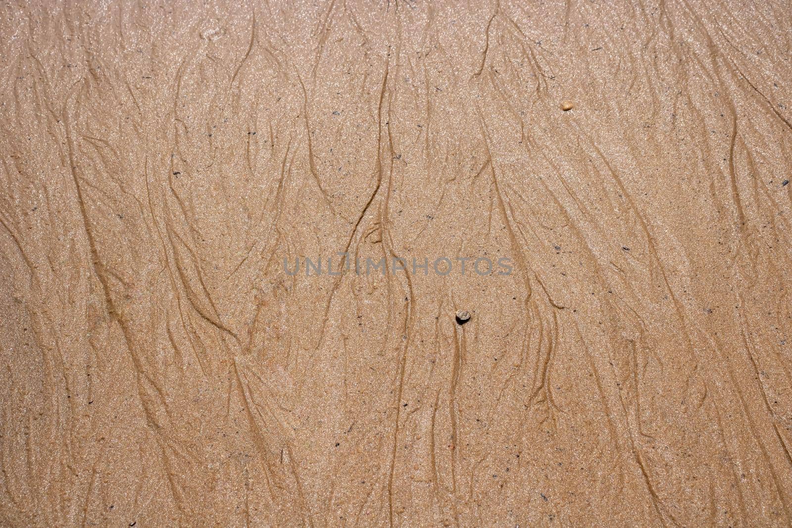 Wet sand and traces of streams on the shore. Top view.