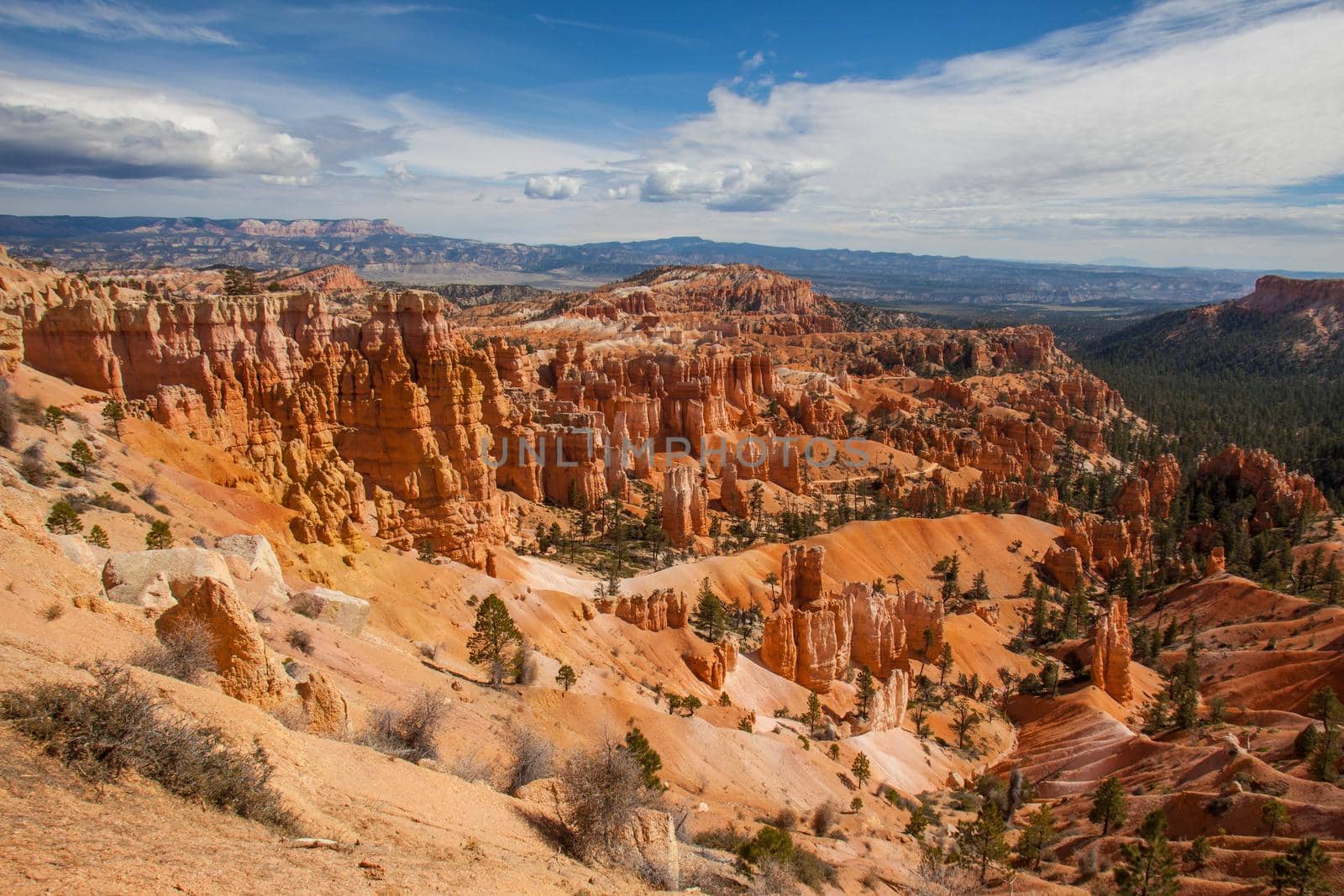 View over Bryce Canyon National Park from the Rim Trail.