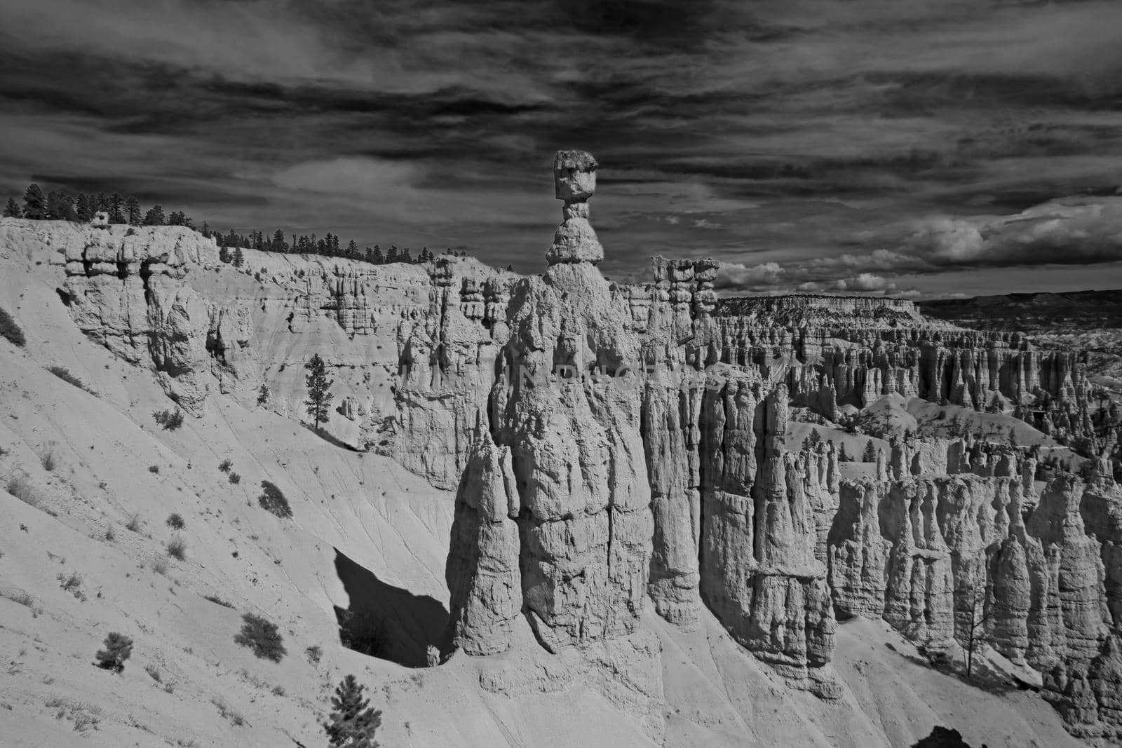 Thor's Hammer on the Navajo Trail is one of the well known landmarks of Bryce Canyon National Park.