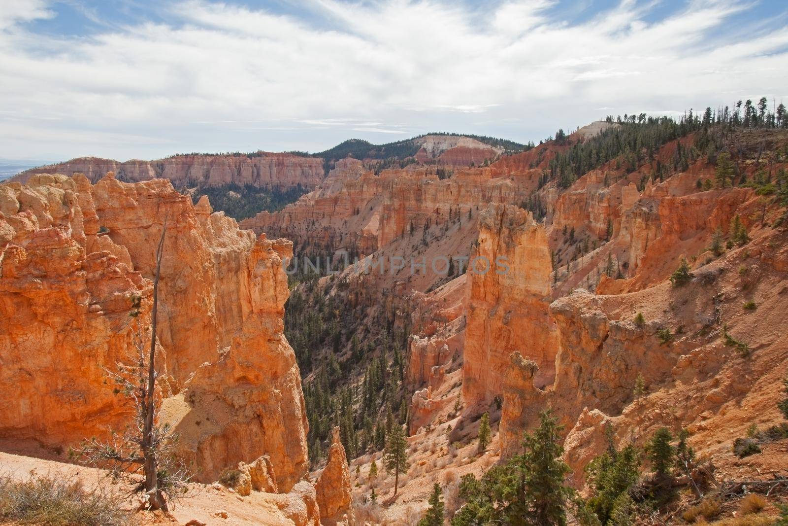 View over Bryce Canyon from Black Wolf Canyon