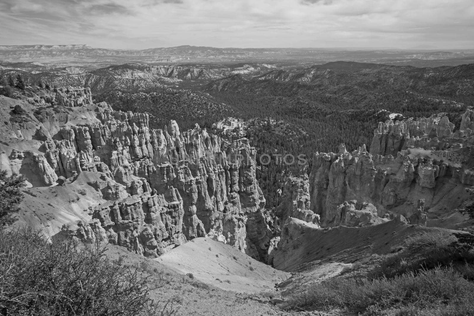 View over Bryce Canyon 2406 BW by kobus_peche