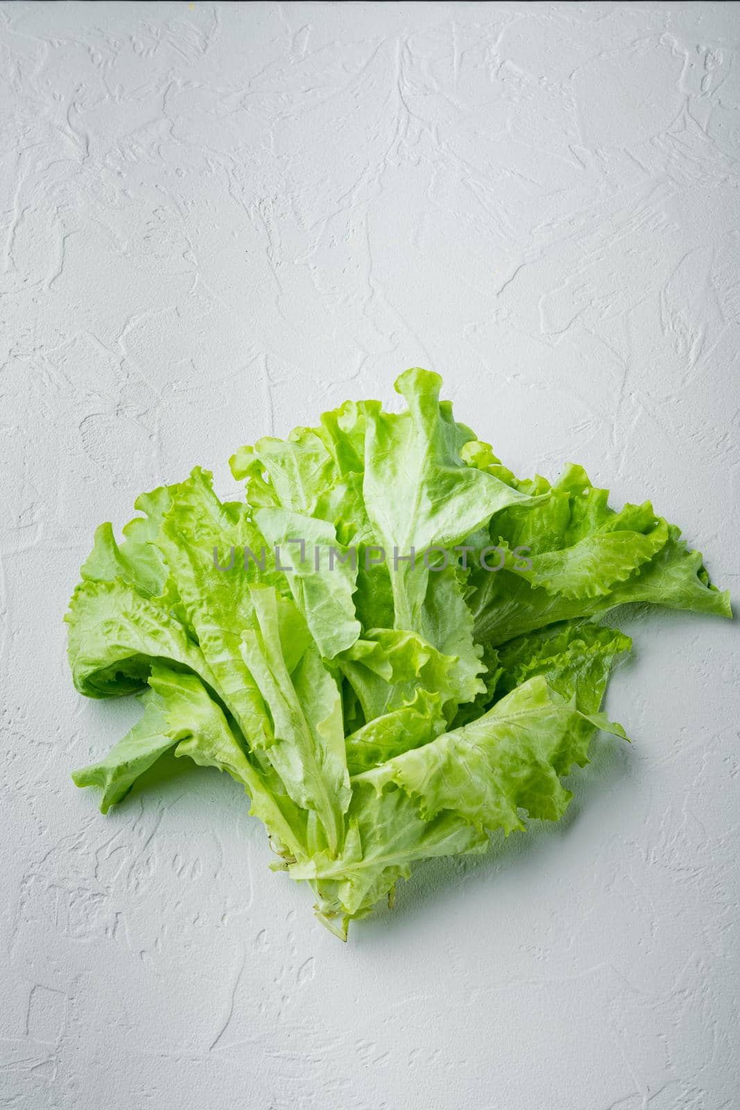 Green salad lettuce fresh leaves, on white background