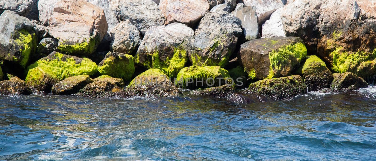Mossy rocks on the coast of sea by berkay