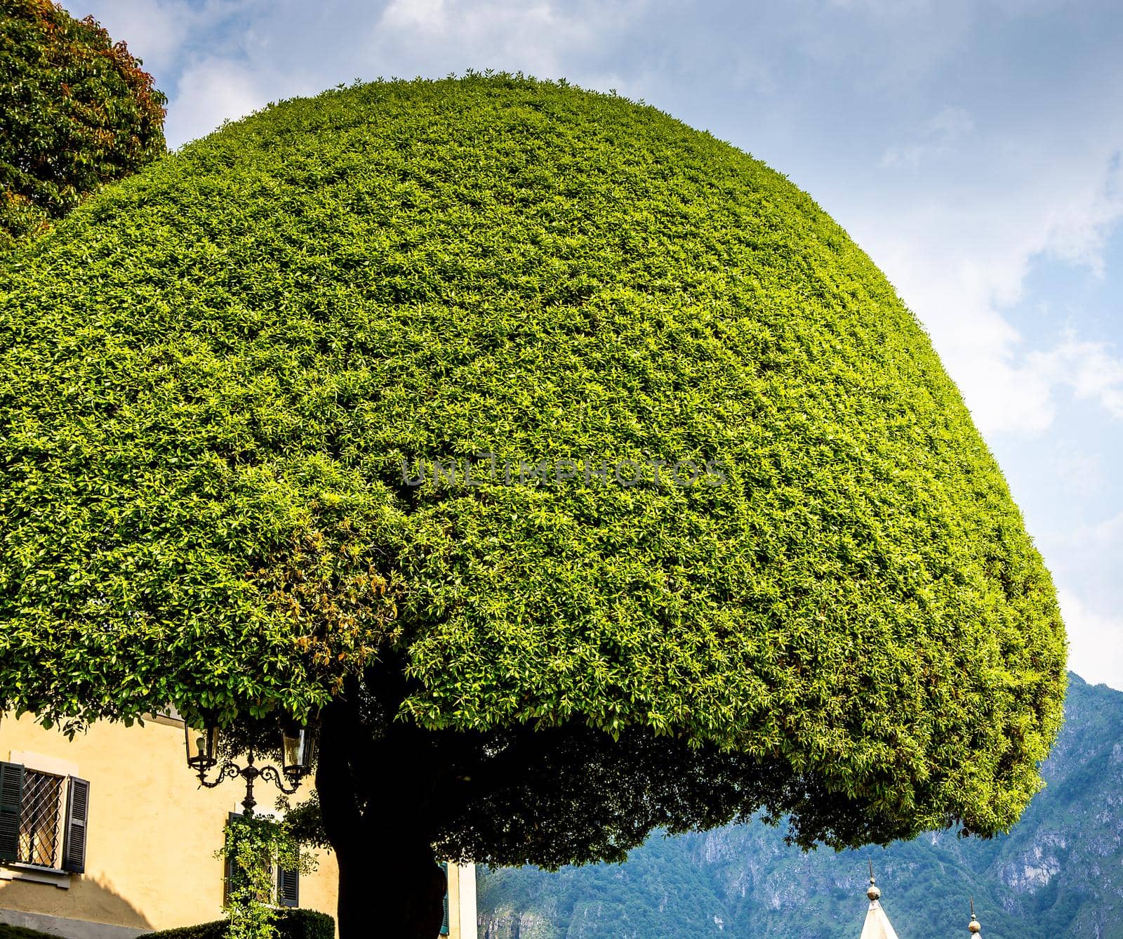 Villa del Balbianello, lake Como, Lenno, italy by photogolfer