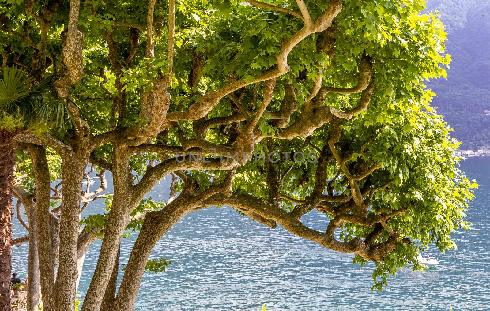 Villa del Balbianello, lake Como, Lenno, italy by photogolfer