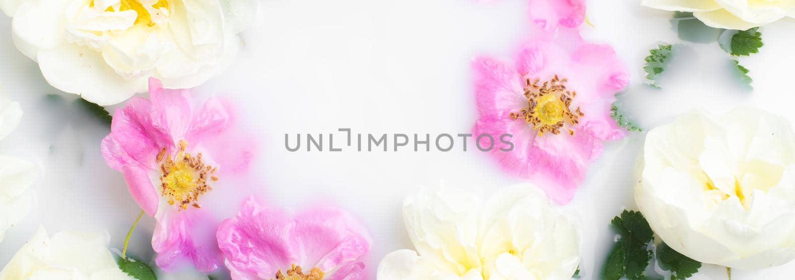 Bush rose in milk . Flowers in milk . Spa treatments. Romantic. Romantic setting. Fresh flowers. Copy space . by alenka2194