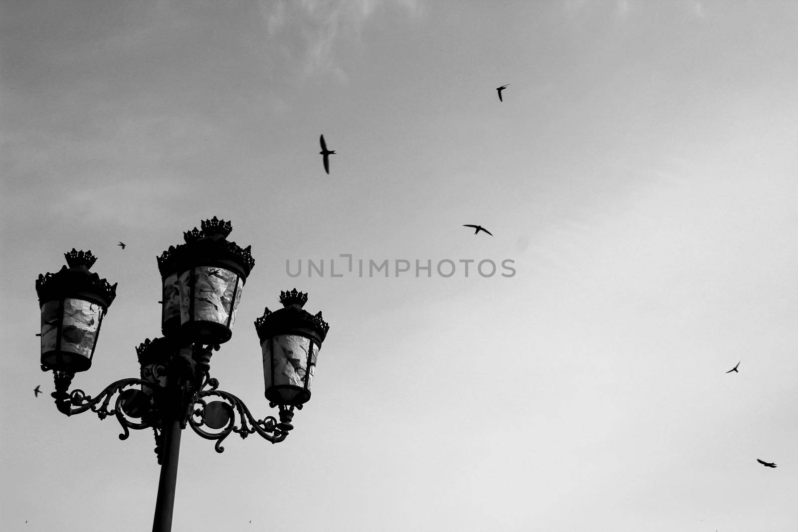 Swallows flying over vintage street lamp in Altea, Alicante, Spain