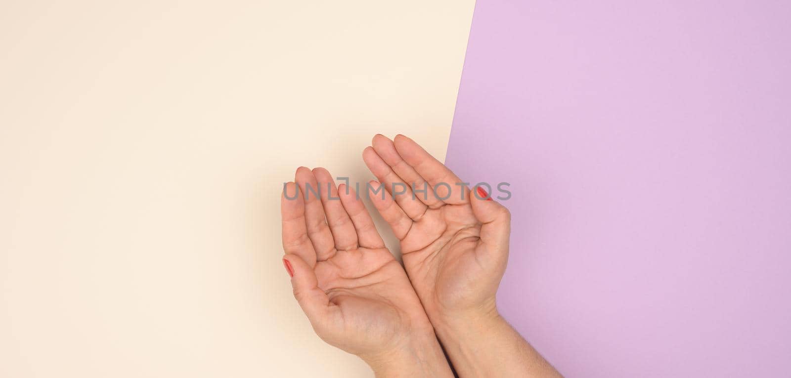 two female hands folded palm to palm on a beige  purple background, top view