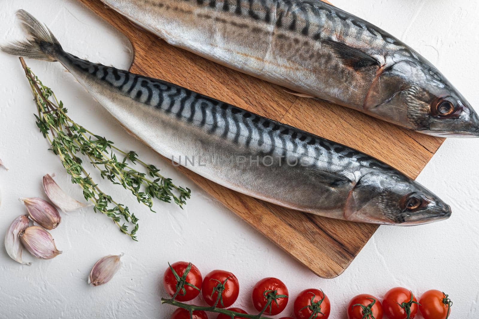 Fish on white textured background.