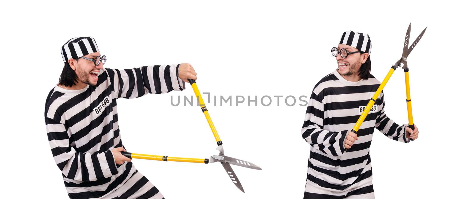 Prison inmate isolated on the white background