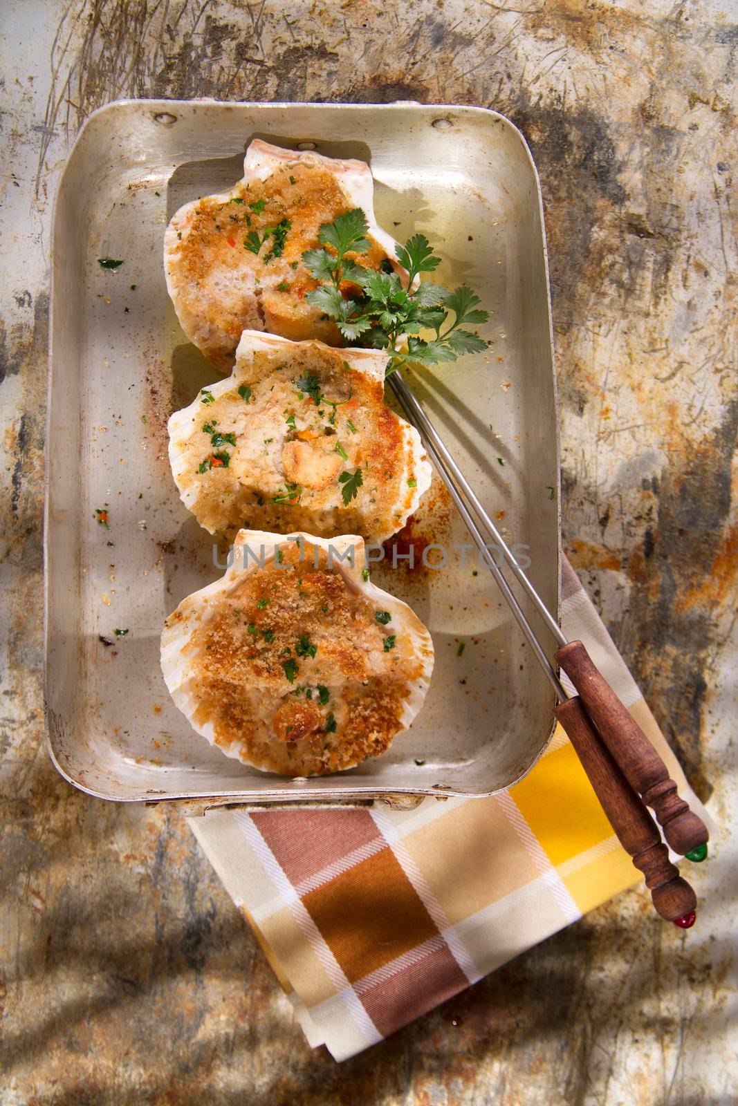 Presentation of scallops au gratin baked with parsley