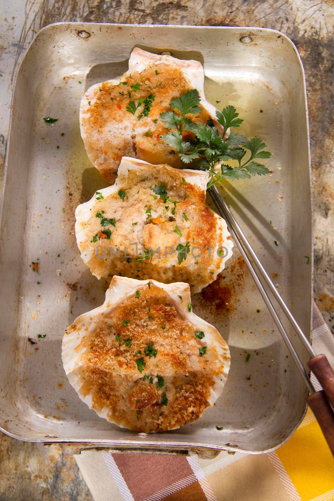 Presentation of scallops au gratin baked with parsley