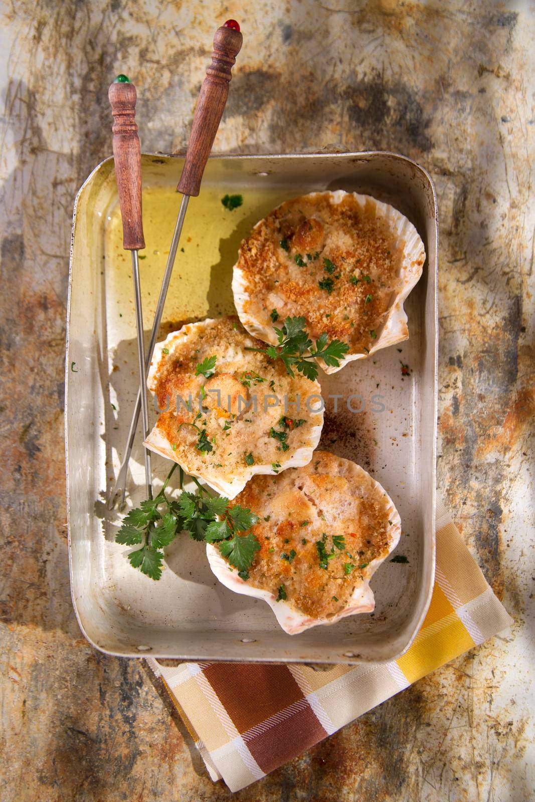 Presentation of scallops au gratin baked with parsley