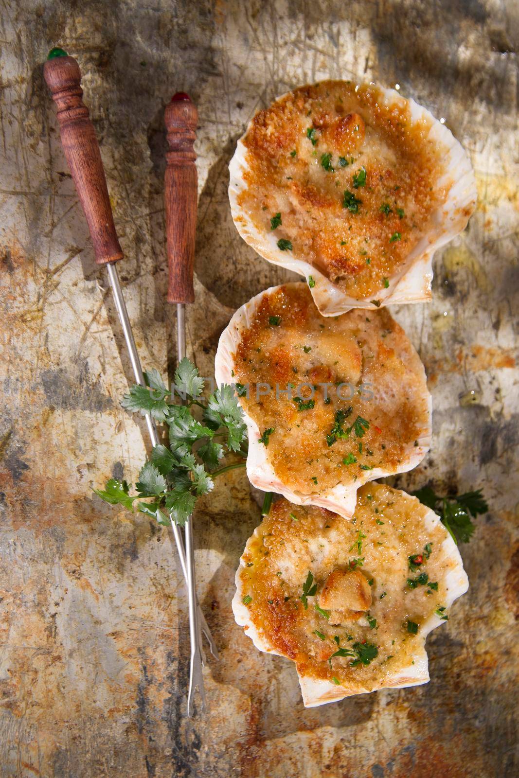 Scallops au gratin by fotografiche.eu