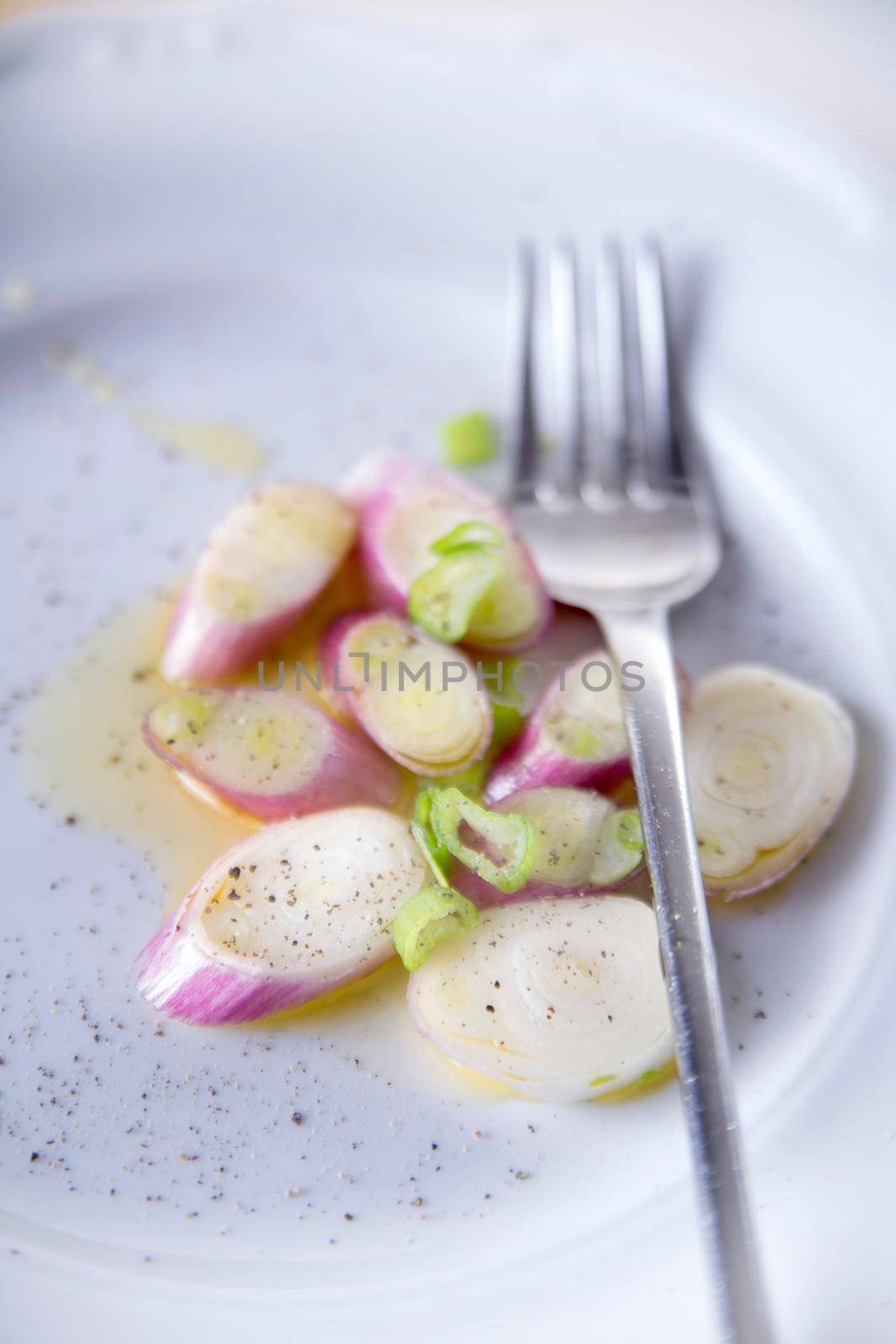 The Red Onion of Tropea by fotografiche.eu