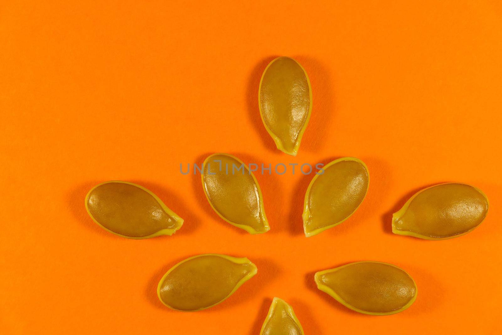 Radiant goliath pumpkin seed layout design on a vibrant orange background, South Africa