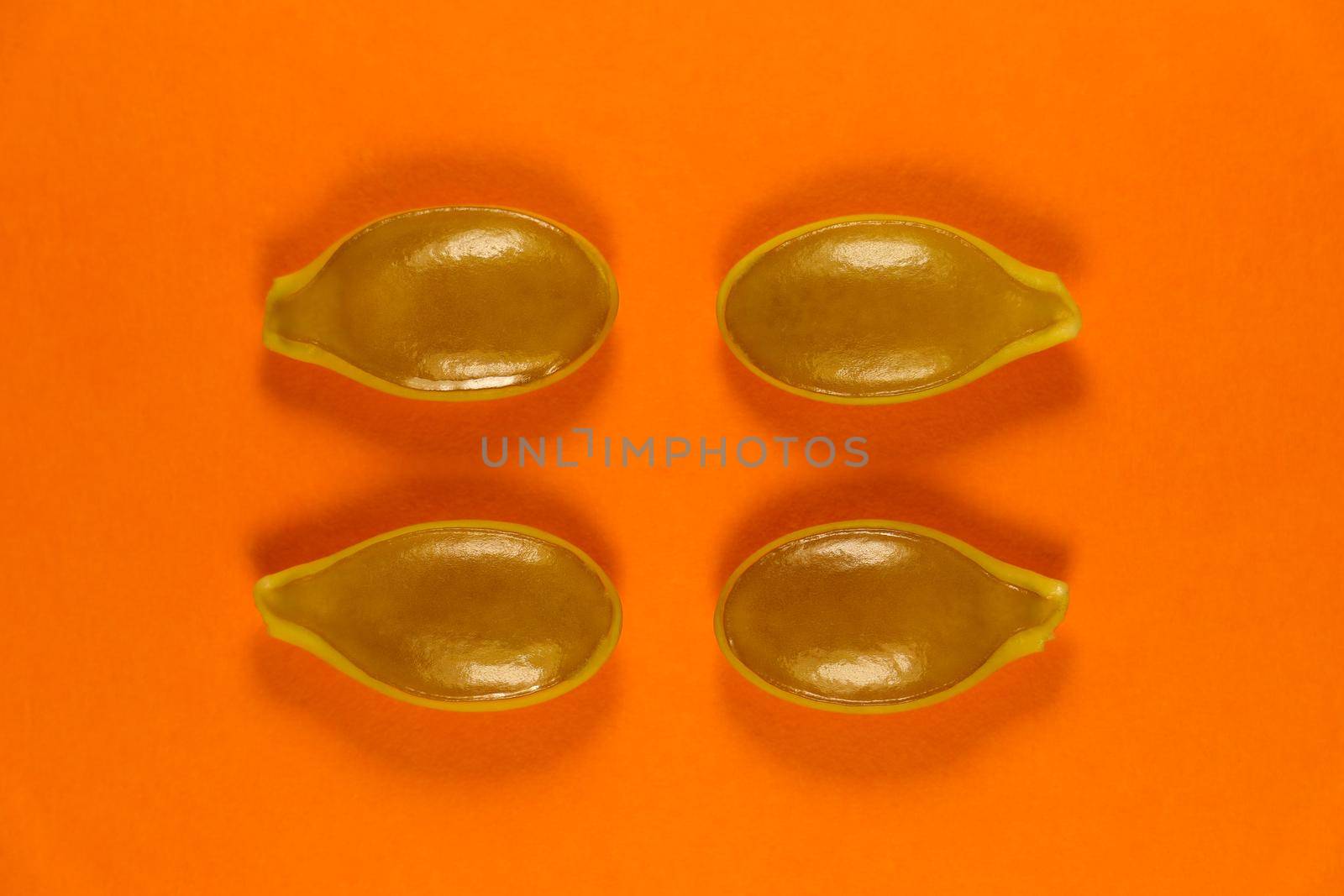 Four goliath pumpkin seeds pattern layout on an orange background, South Africa