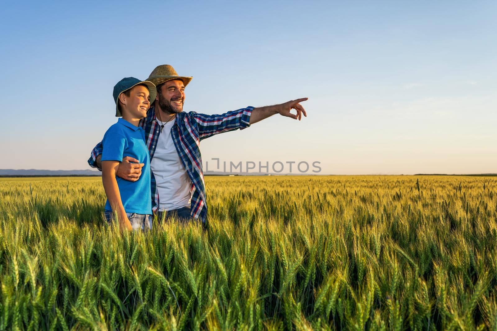 Father and son are standing in their growing wheat field. They are happy because of successful sowing and enjoying sunset.