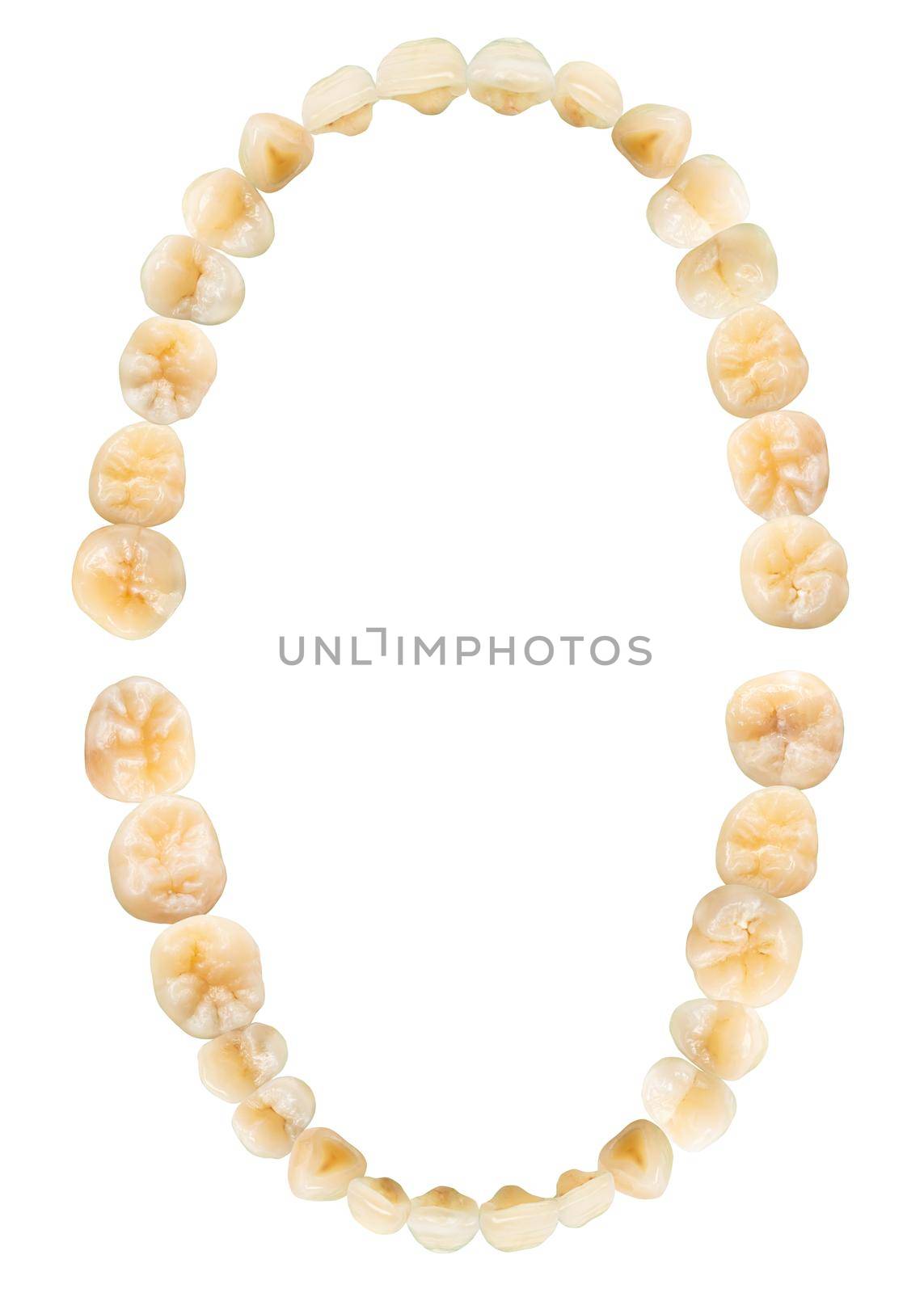 Tooth diagram ( photography ). Real teeth chart . Top view . isolated white background .