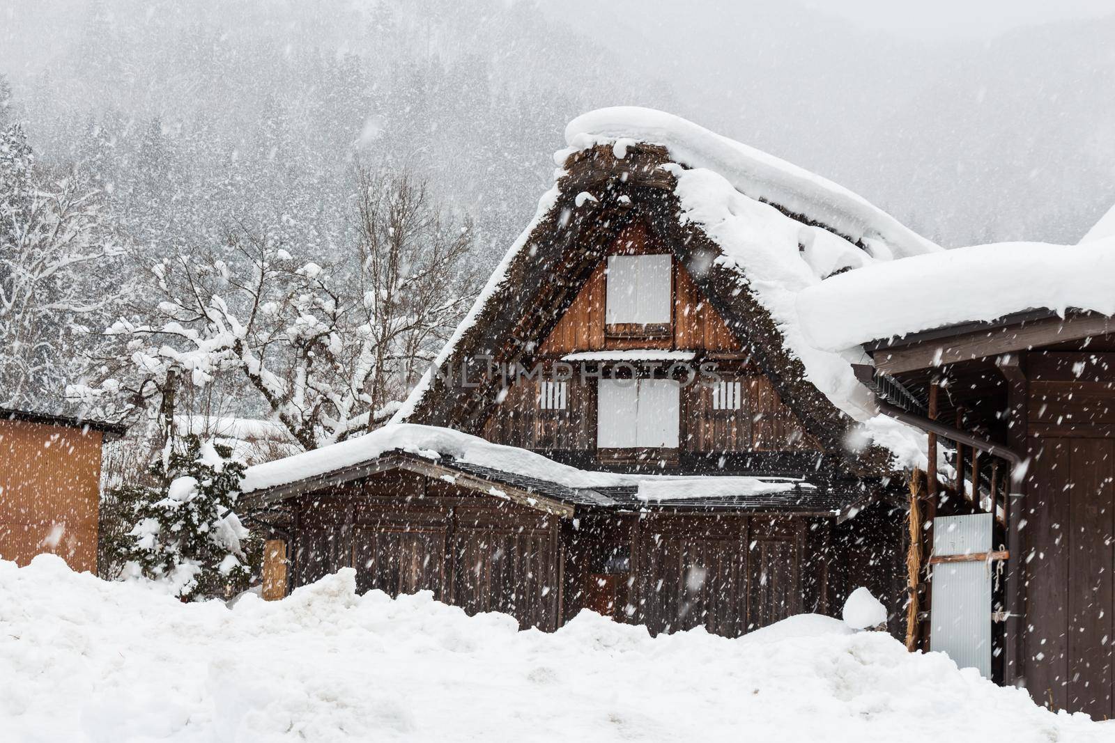 Shirakawago village with snow fall in winter season . Landmark of Gifu , Takayama , Japan . by stockdevil