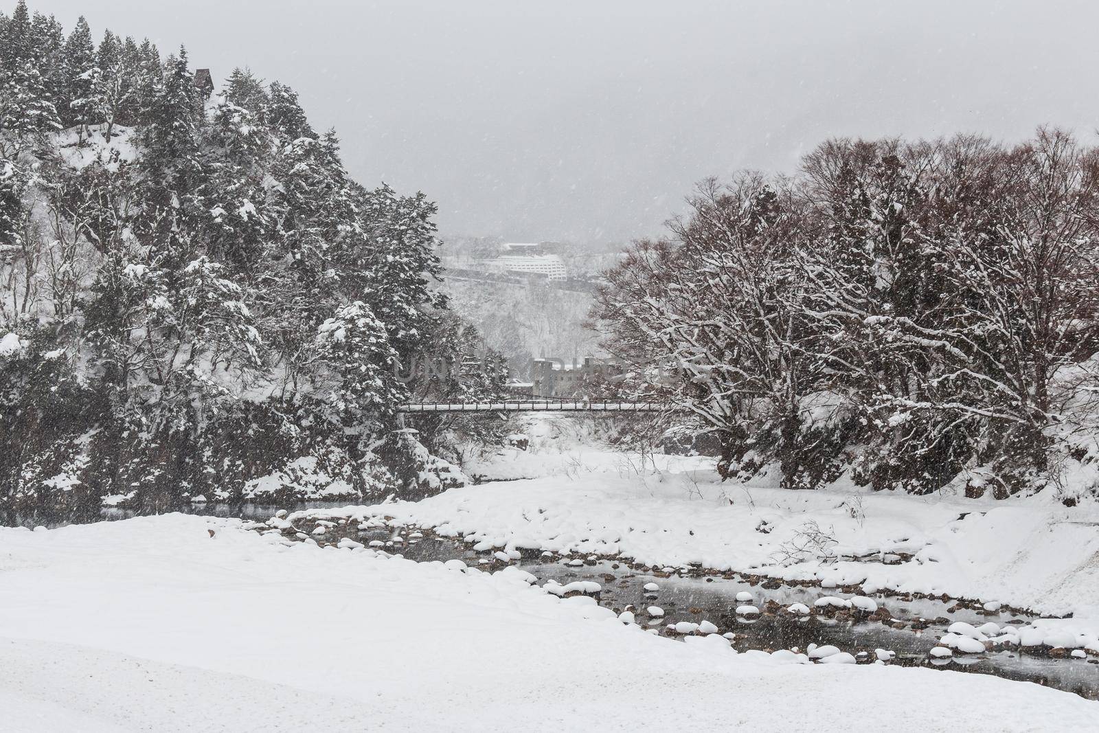 Shirakawago village and rope bridge with snow fall in winter season . Landmark of Gifu , Takayama , Japan . by stockdevil
