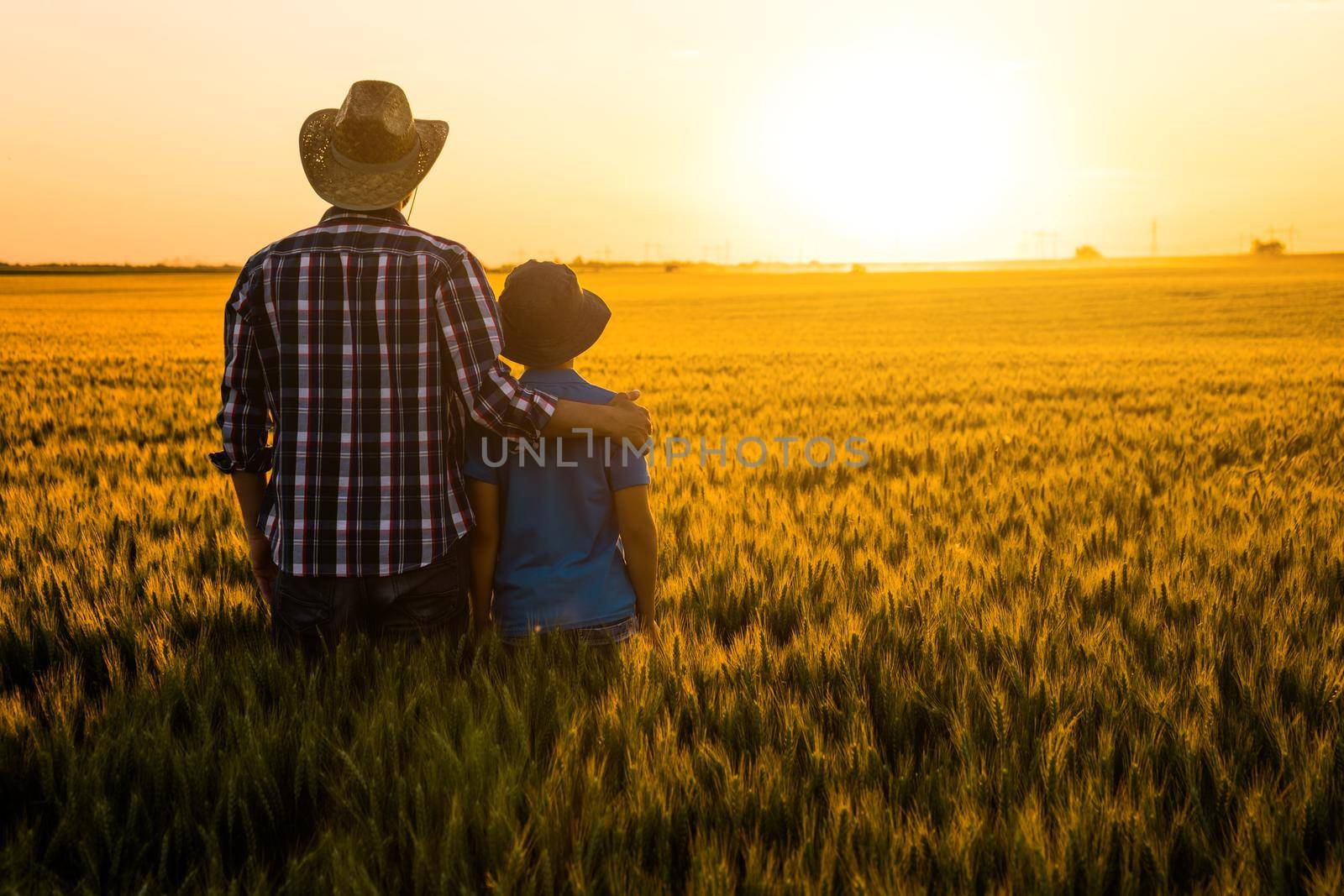 Father and son are standing in their growing wheat field. They are happy because of successful sowing and enjoying sunset.