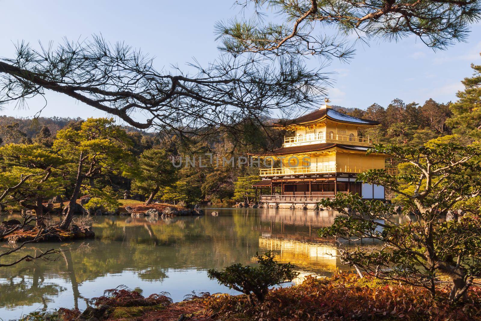 Kinkakuji Temple ( Rokuon-ji Temple ) . Golden Pavilion at Kyoto , Japan . Landscape view .