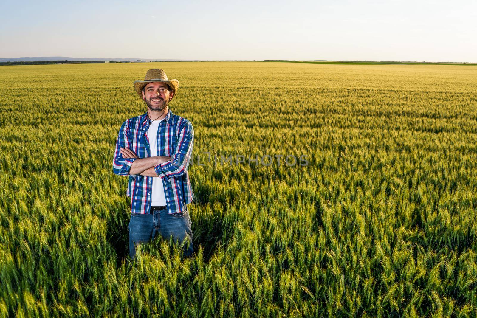 Farmer is standing in his growing wheat field. He is happy because of successful sowing.