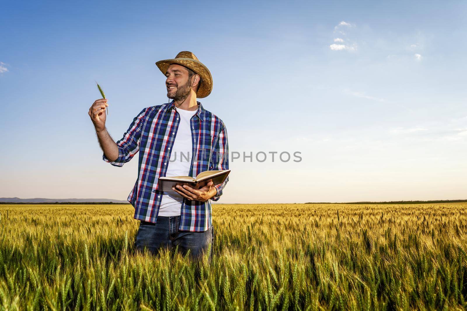 Farmer is standing in his growing wheat field. He is examining crops after successful sowing.