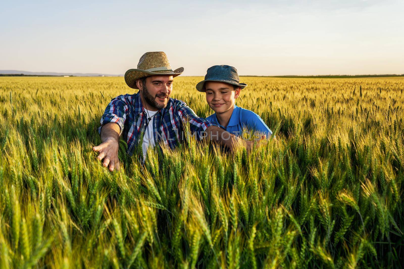 Father and son are standing in their growing wheat field. Father is teaching his successor about agriculture.