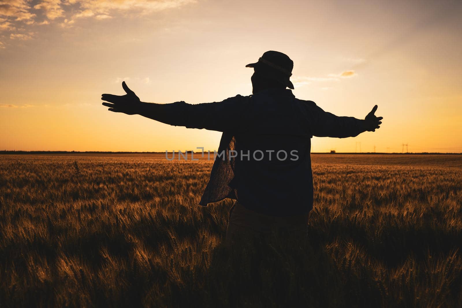 Farmer is standing in his growing wheat field. He is satisfied after successful sowing.
