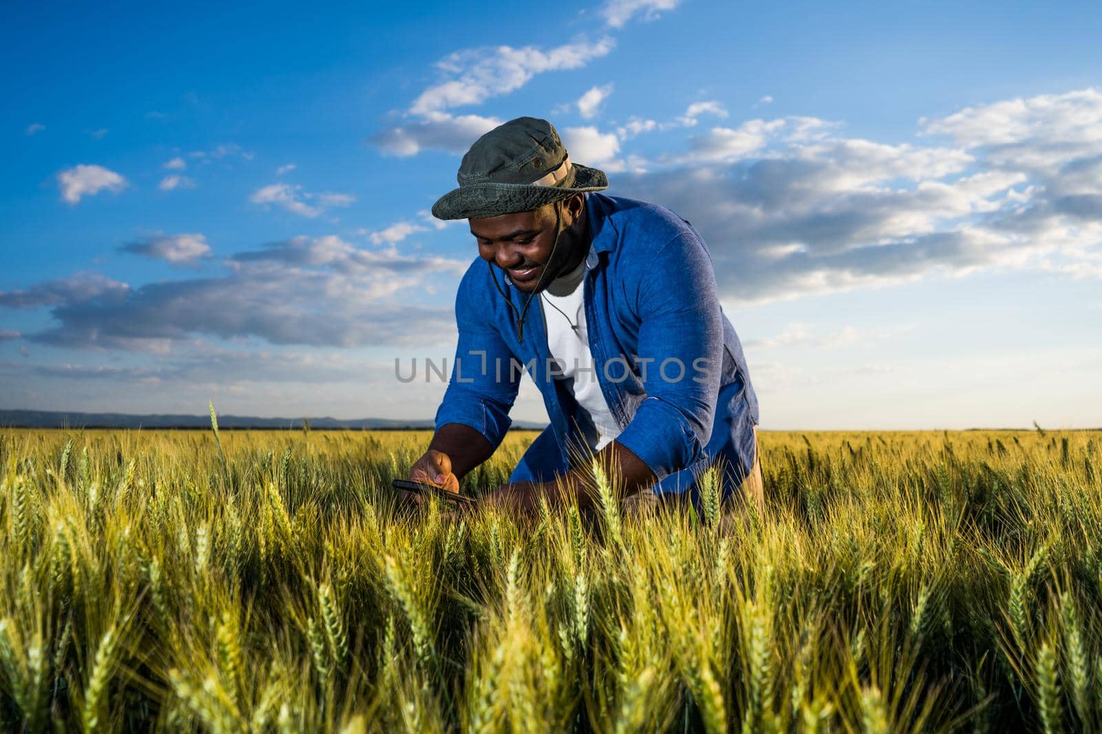 Farmer is standing in his growing wheat field. He is examining crops after successful sowing.