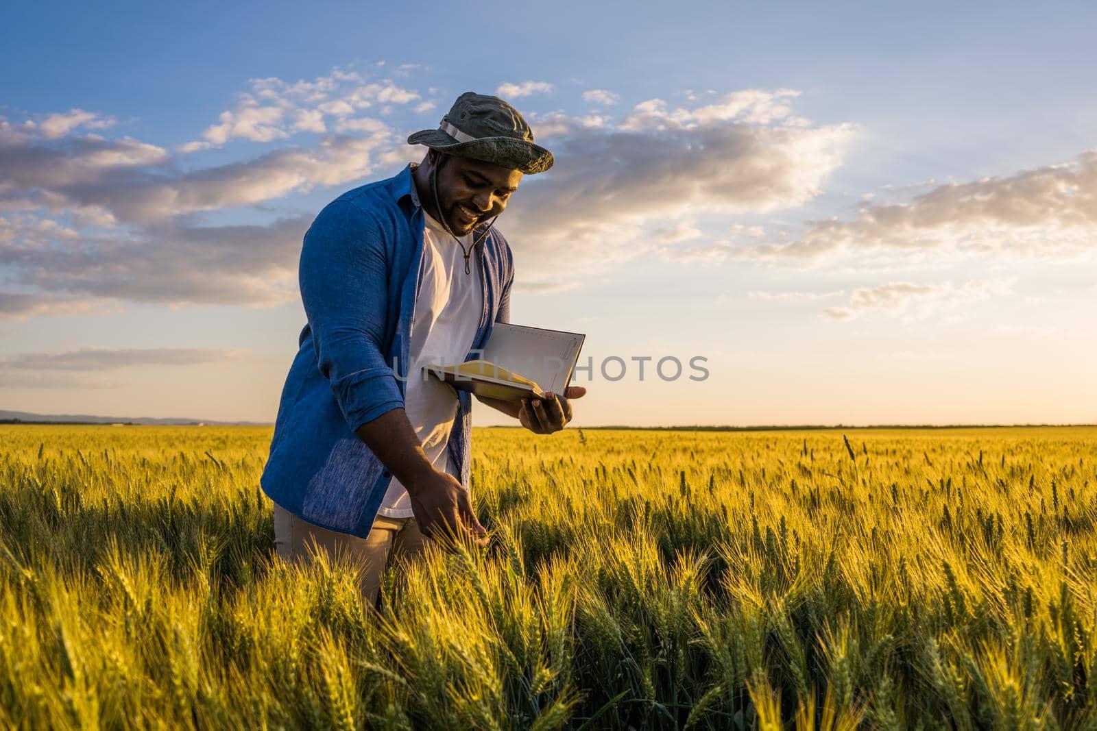 Farmer is standing in his growing wheat field. He is examining crops after successful sowing.