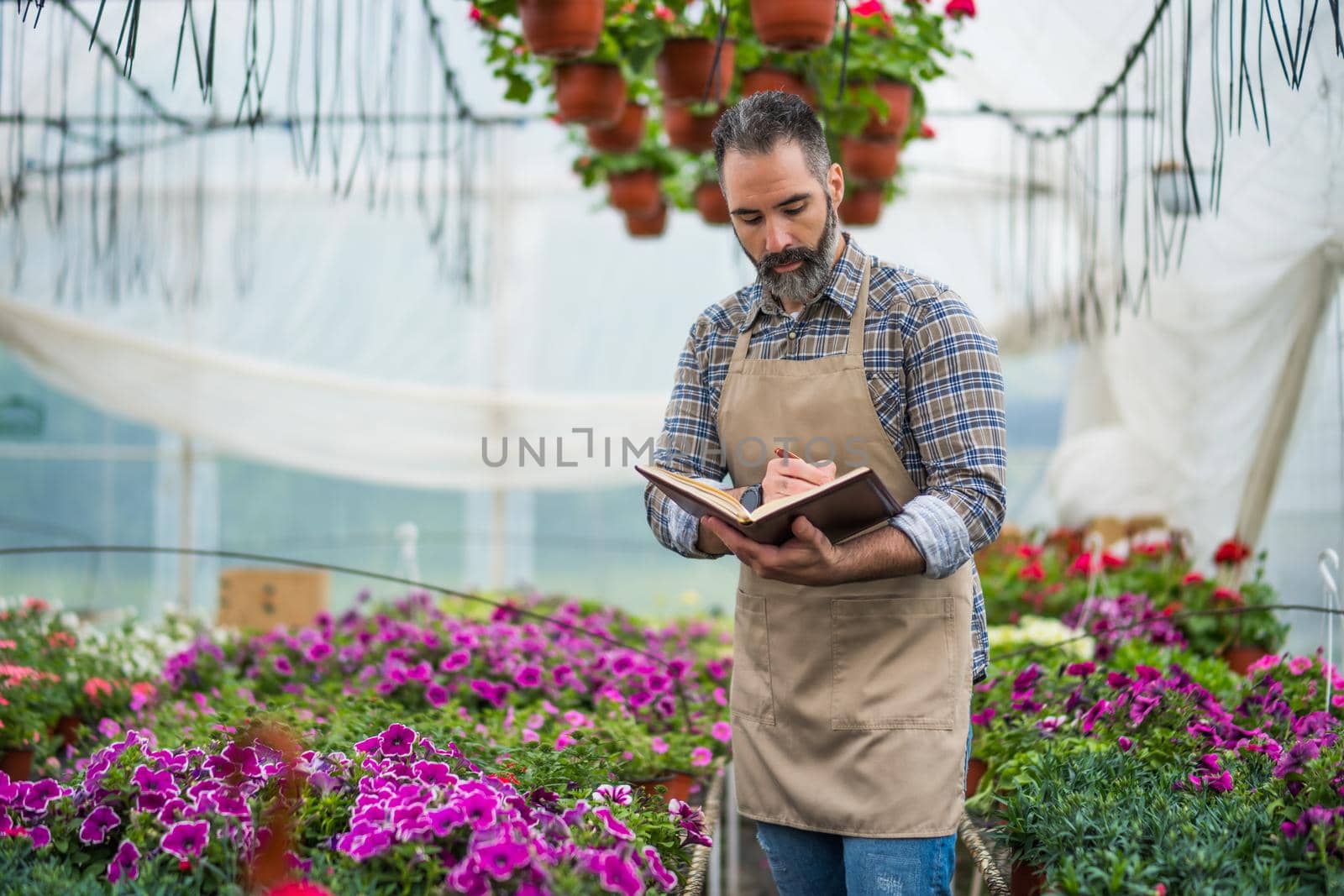 Man is working in small business greenhouse store. He is examining plants.