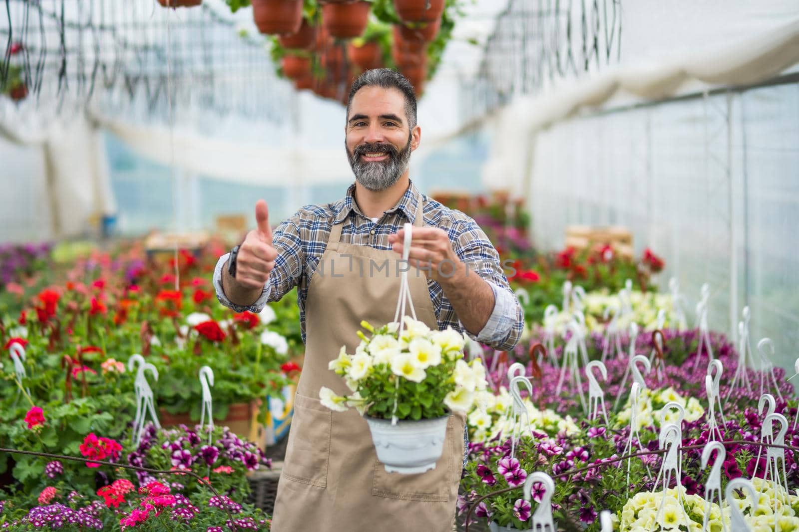 Mid adult man is owning small business greenhouse store.