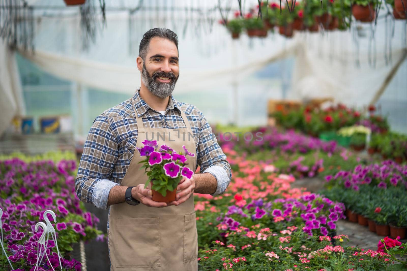 Mid adult man is owning small business greenhouse store.