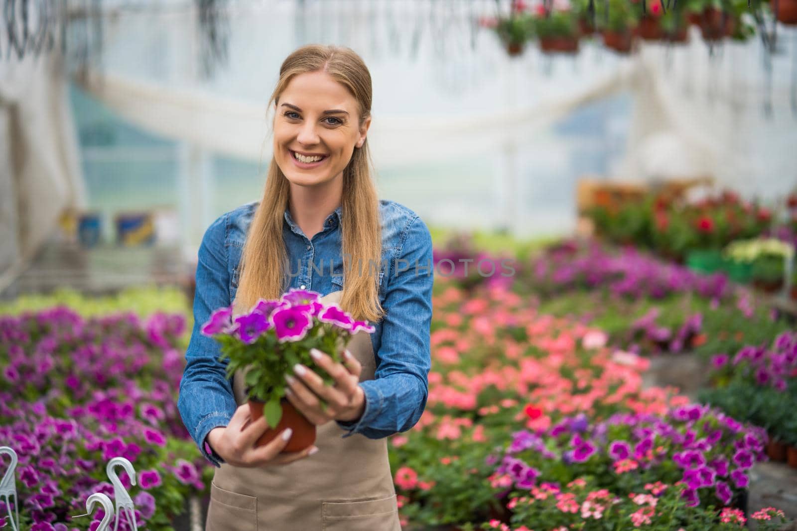 Woman is owning small business greenhouse store. Female entrepreneur.