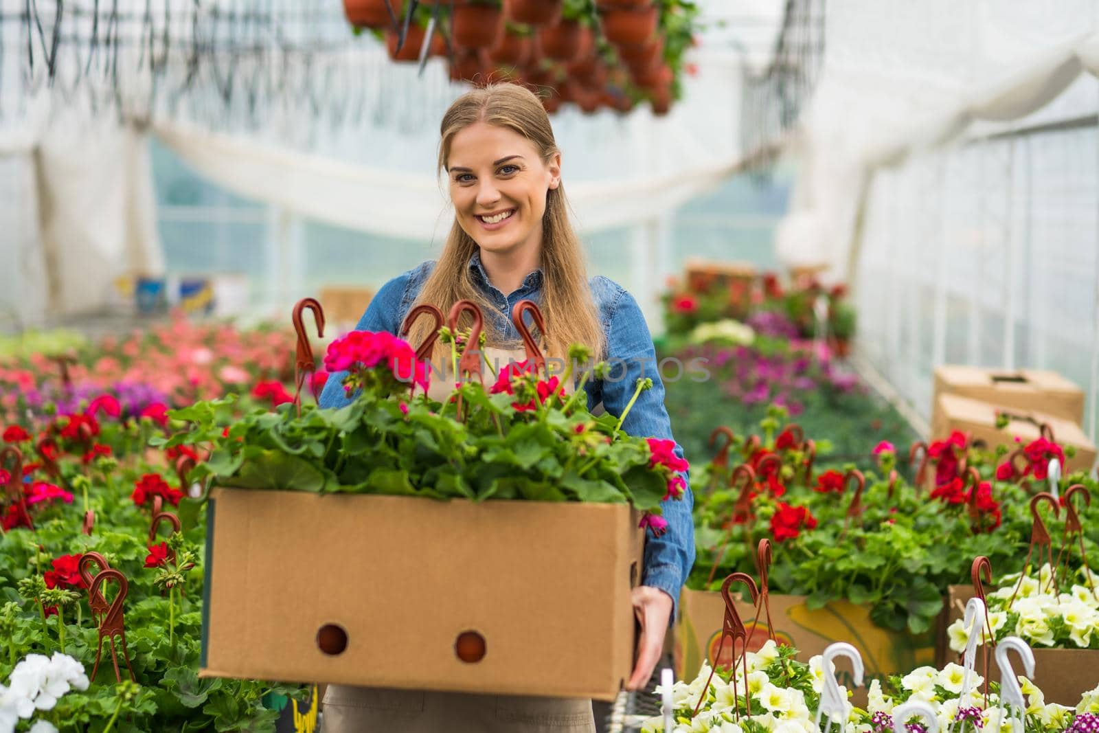 Woman is owning small business greenhouse store. Female entrepreneur.