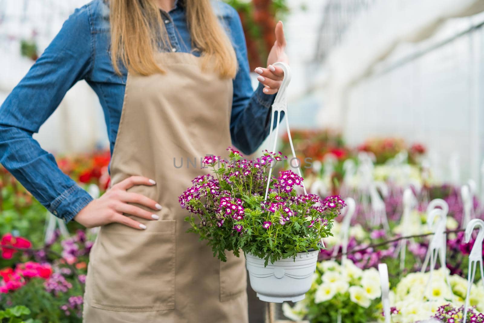 Woman is owning small business greenhouse store. She is holding flower in pot. Female entrepreneur.