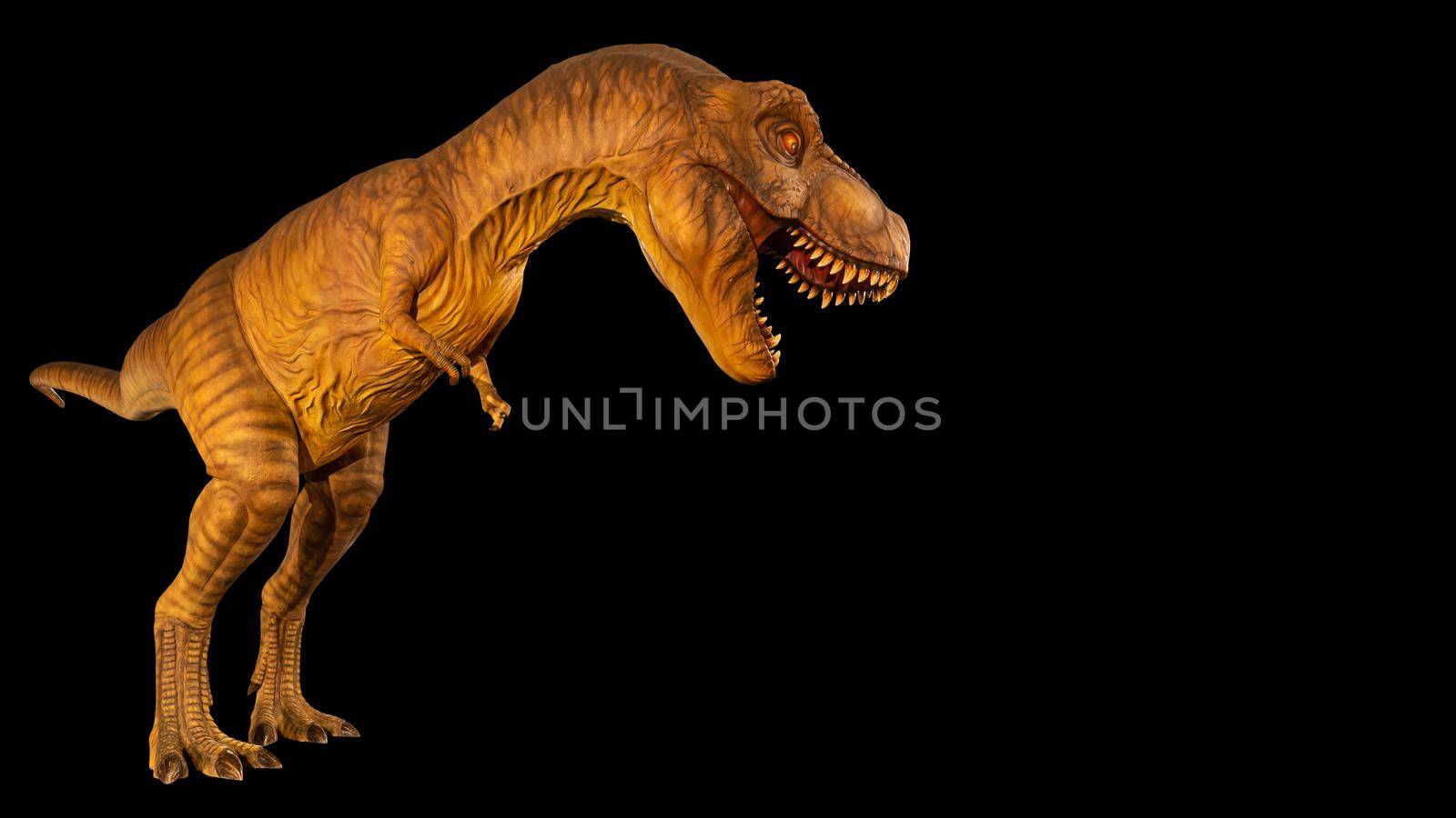 Tyrannosaurus rex ( T-rex ) is walking and open mouth and copy space on right site . Side view . Black isolated background . Dinosaur in jurassic peroid . Embedded clipping paths . by stockdevil