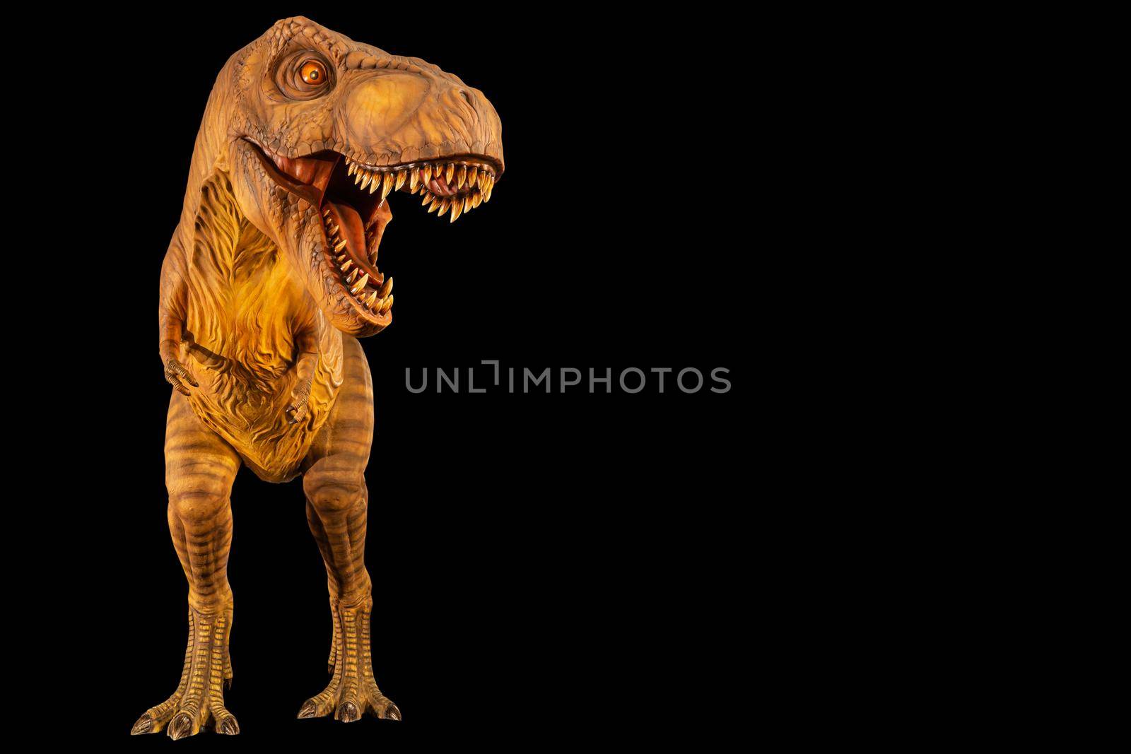 Tyrannosaurus rex ( T-rex ) is walking and open mouth and copy space on right site . Front view . Black isolated background . Dinosaur in jurassic peroid . Embedded clipping paths . by stockdevil