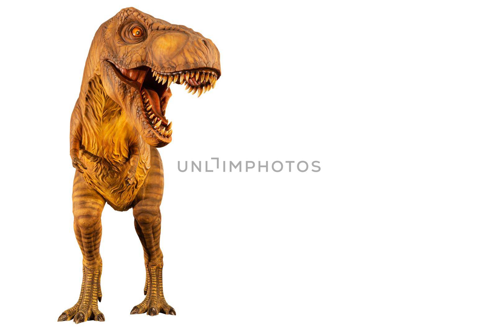 Tyrannosaurus rex ( T-rex ) is walking and open mouth and copy space on right site . Front view . White isolated background . Dinosaur in jurassic peroid . Embedded clipping paths . by stockdevil