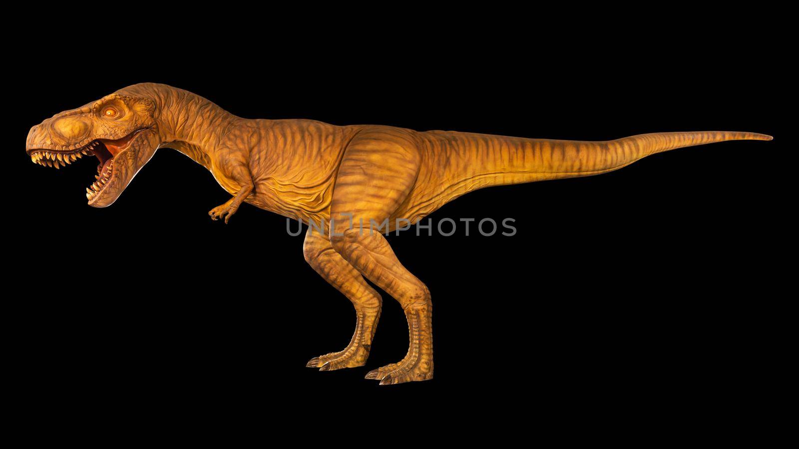 Tyrannosaurus rex is walking and open mouth . Side view . Black isolated background . Dinosaur in jurassic peroid . by stockdevil