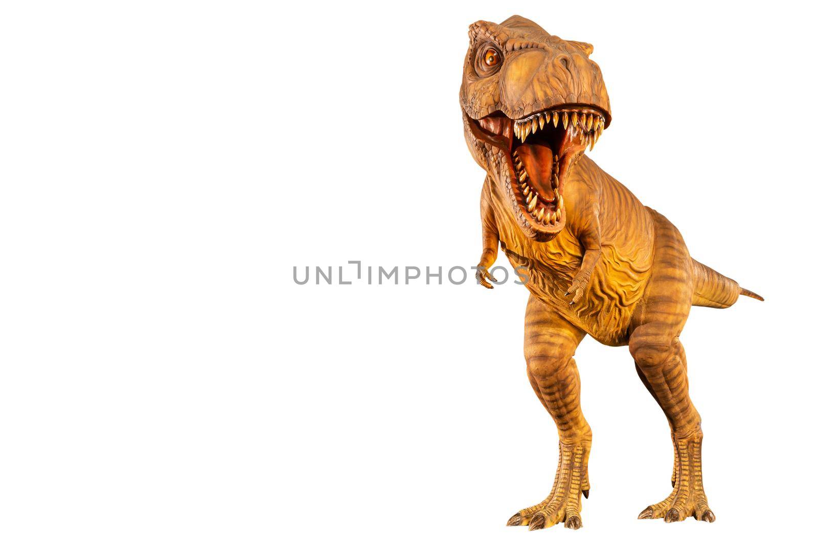 Tyrannosaurus rex ( T-rex ) is walking and open mouth and copy space on left site . Front view . Black isolated background . Dinosaur in jurassic peroid . Embedded clipping paths . by stockdevil