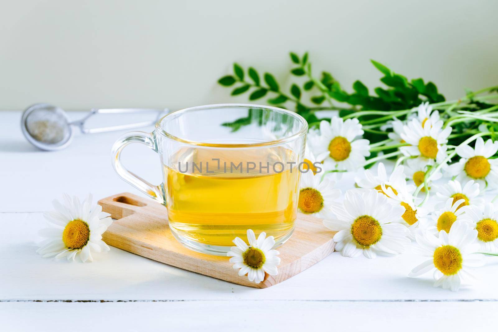 Close-up of chamomile tea. Alternative and traditional medicine. Herbal treatment. Selective focus.