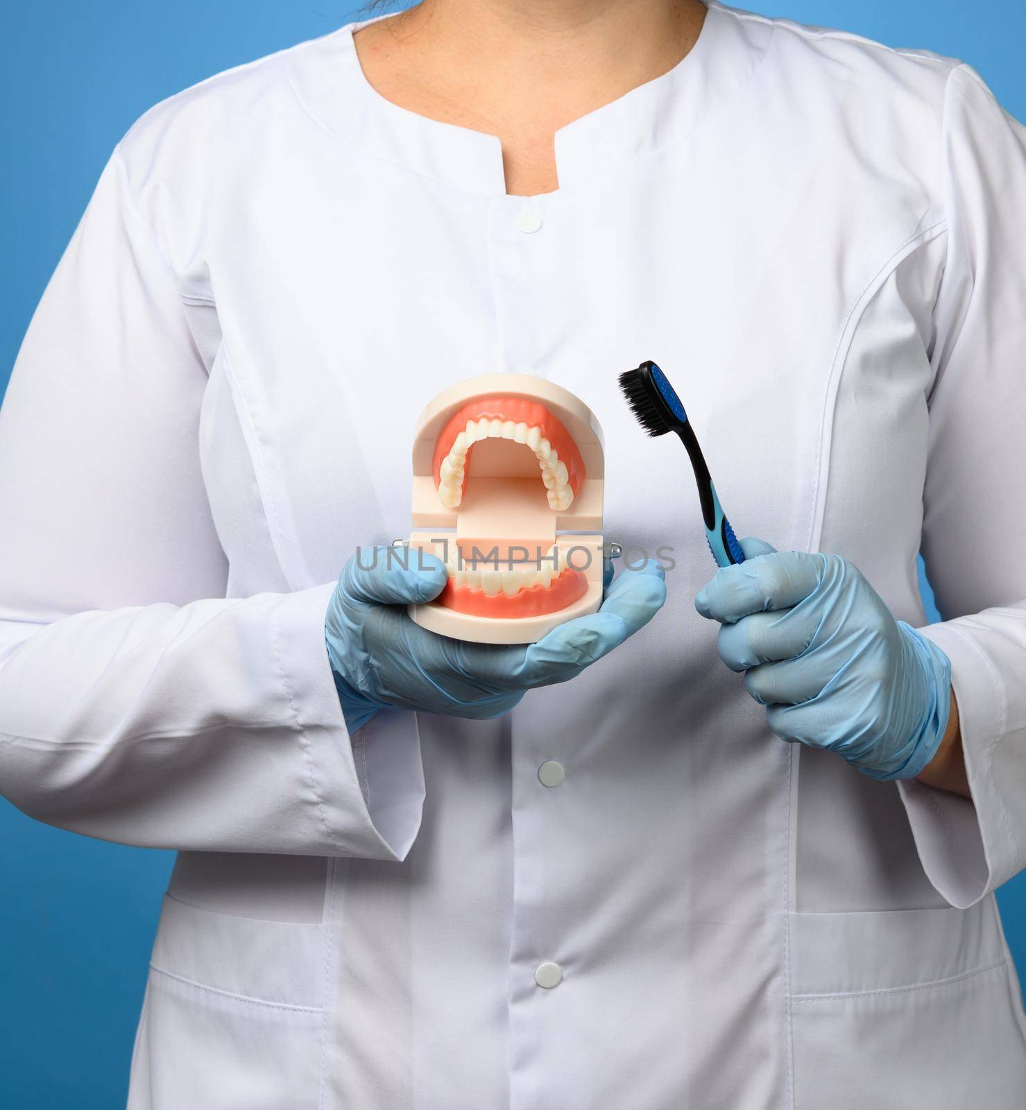 female medic in a white coat holds a plastic model of a human jaw and a toothbrush on a blue background